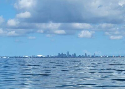 Private boat charter Tampa and St. Pete