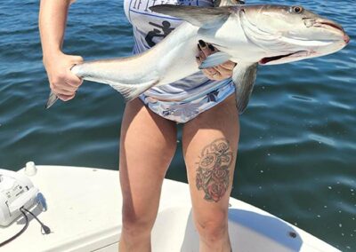Fishing Boat Charters - Tampa Bay & St. Pete